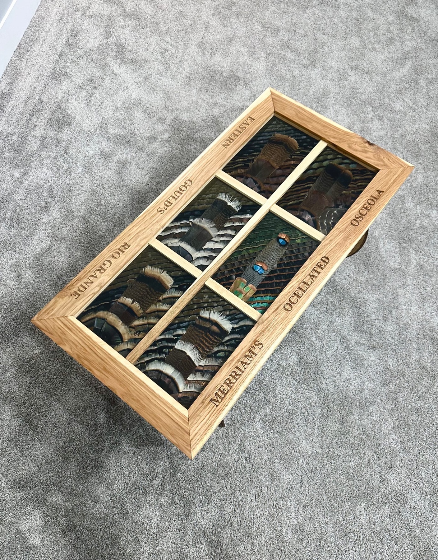 Featured feather art piece — #6