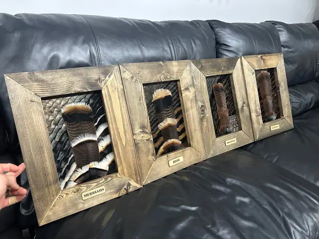 Custom feather art build by All Feathers Taxidermy, a one-of-a-kind framed feather composition