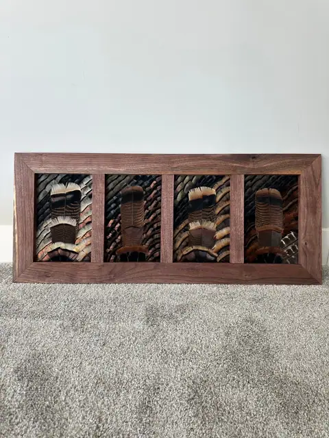 Custom feather art build by All Feathers Taxidermy, a one-of-a-kind framed feather composition