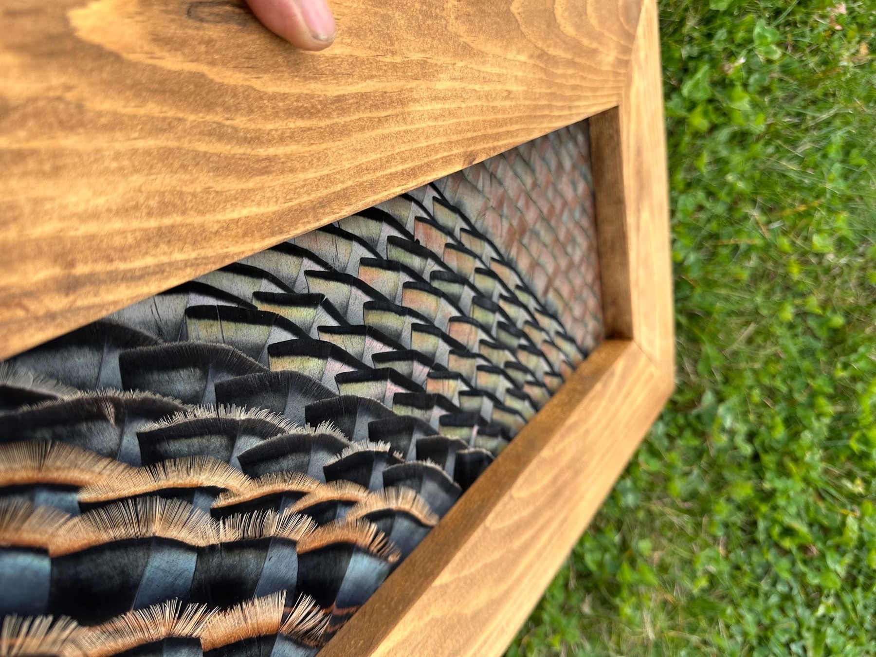 Custom Builds feather art piece — #18