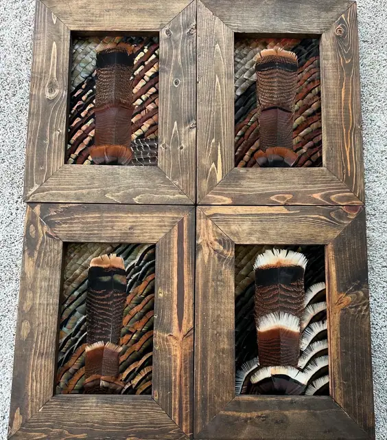 Custom feather art build by All Feathers Taxidermy, a one-of-a-kind framed feather composition