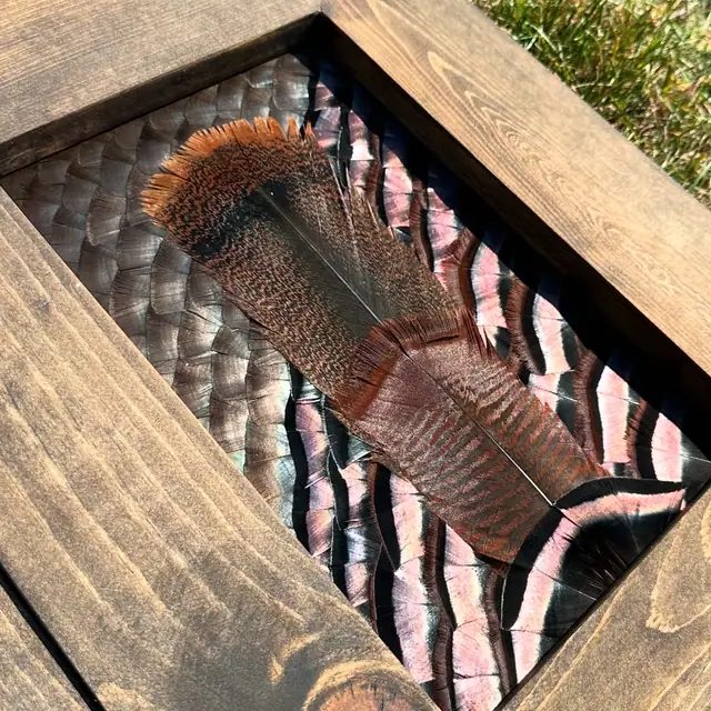Custom feather art build by All Feathers Taxidermy, a one-of-a-kind framed feather composition