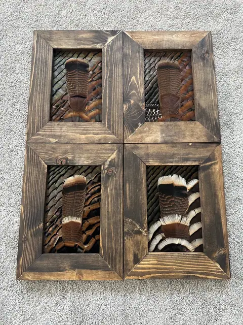 Custom feather art build by All Feathers Taxidermy, a one-of-a-kind framed feather composition