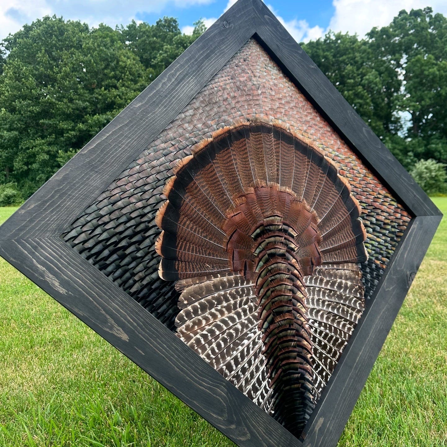 Diamond Turkey feather art piece — #10
