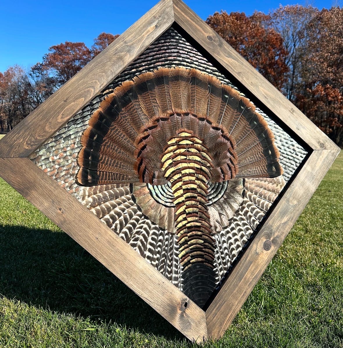 Diamond Turkey feather art piece — #11