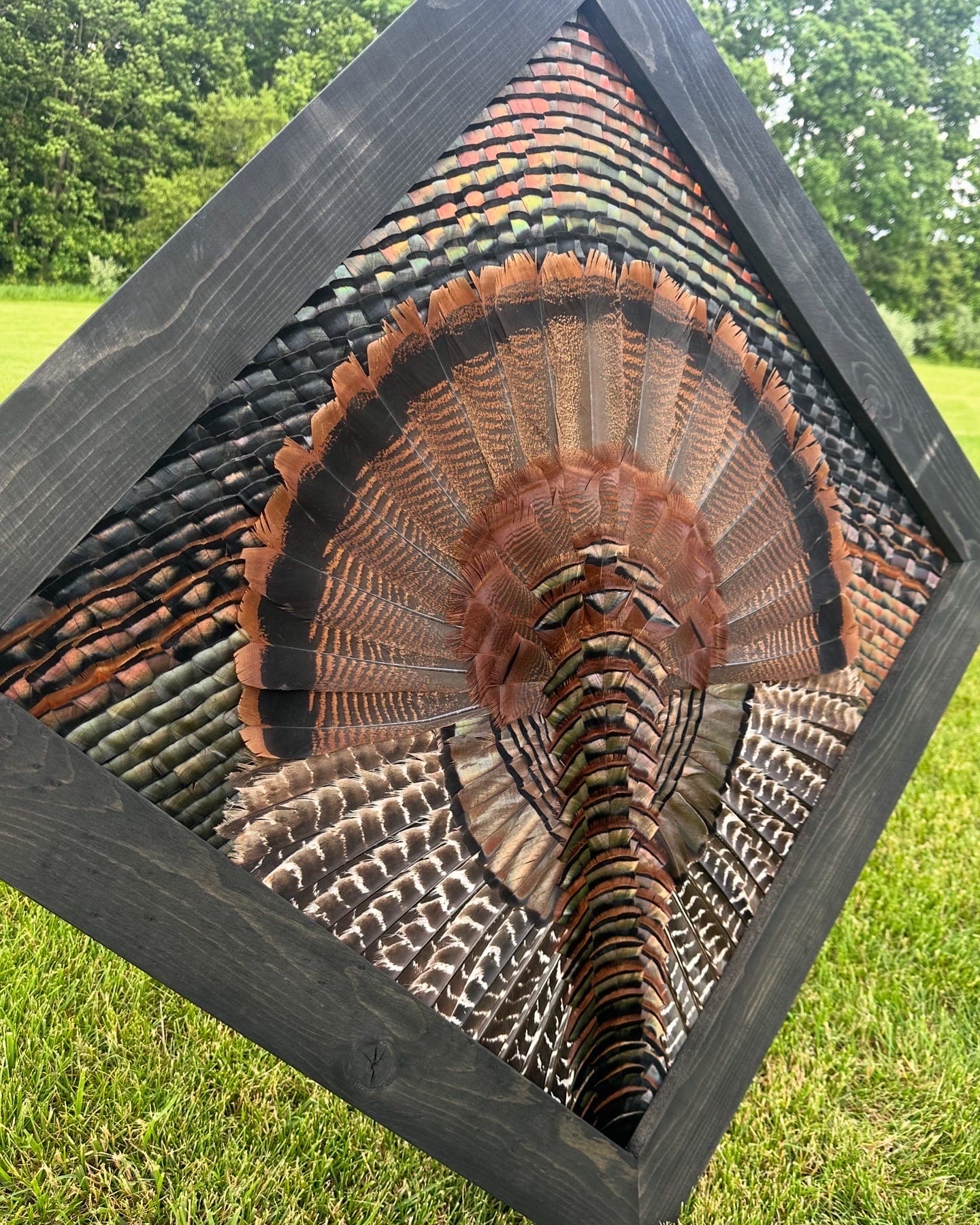 Diamond Turkey feather art piece — #13