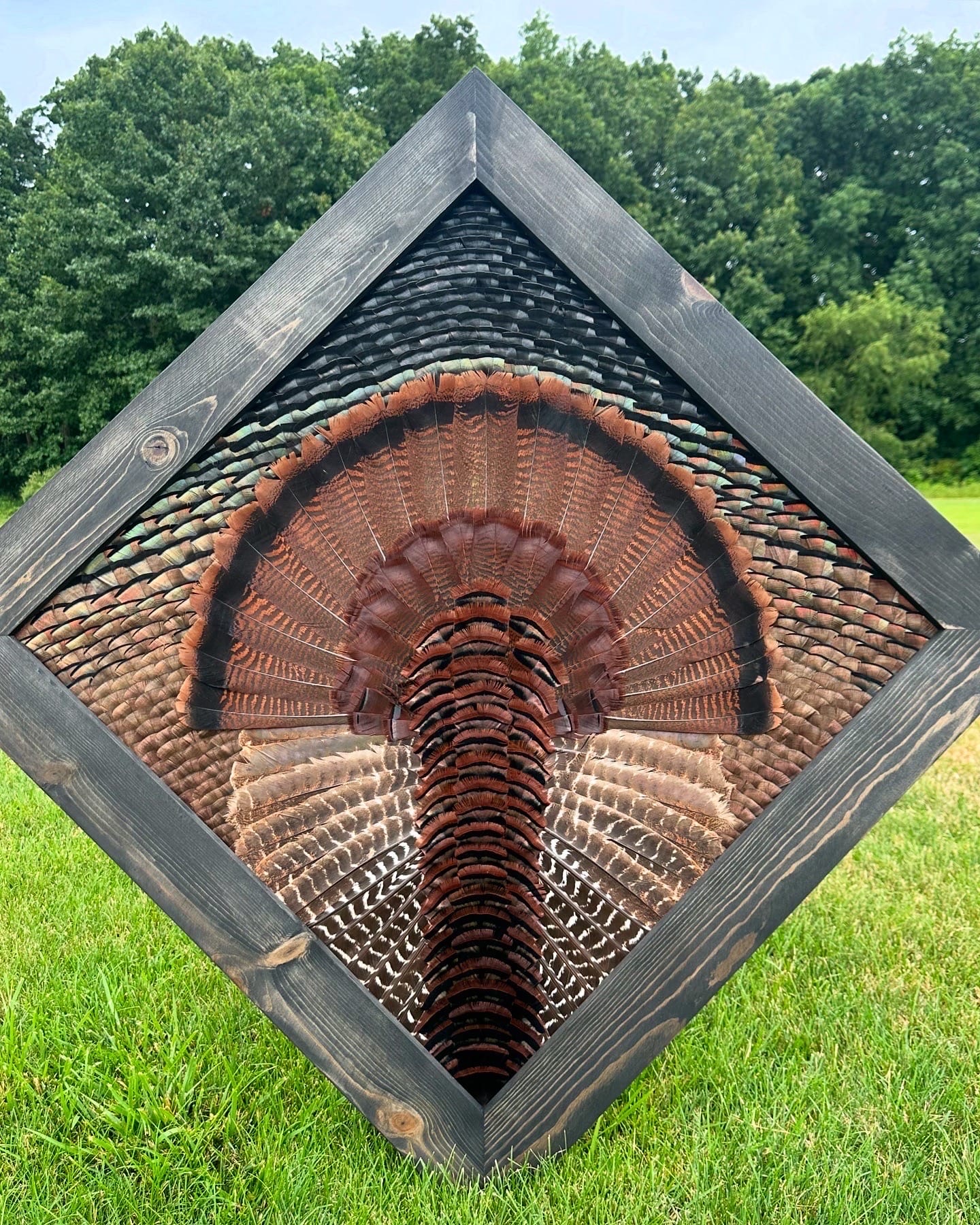 Diamond Turkey feather art piece — #14