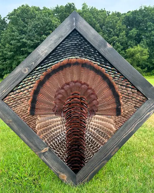 Diamond turkey feather art mount: wild turkey tail fan and wings framed in a handmade diamond frame by All Feathers Taxidermy