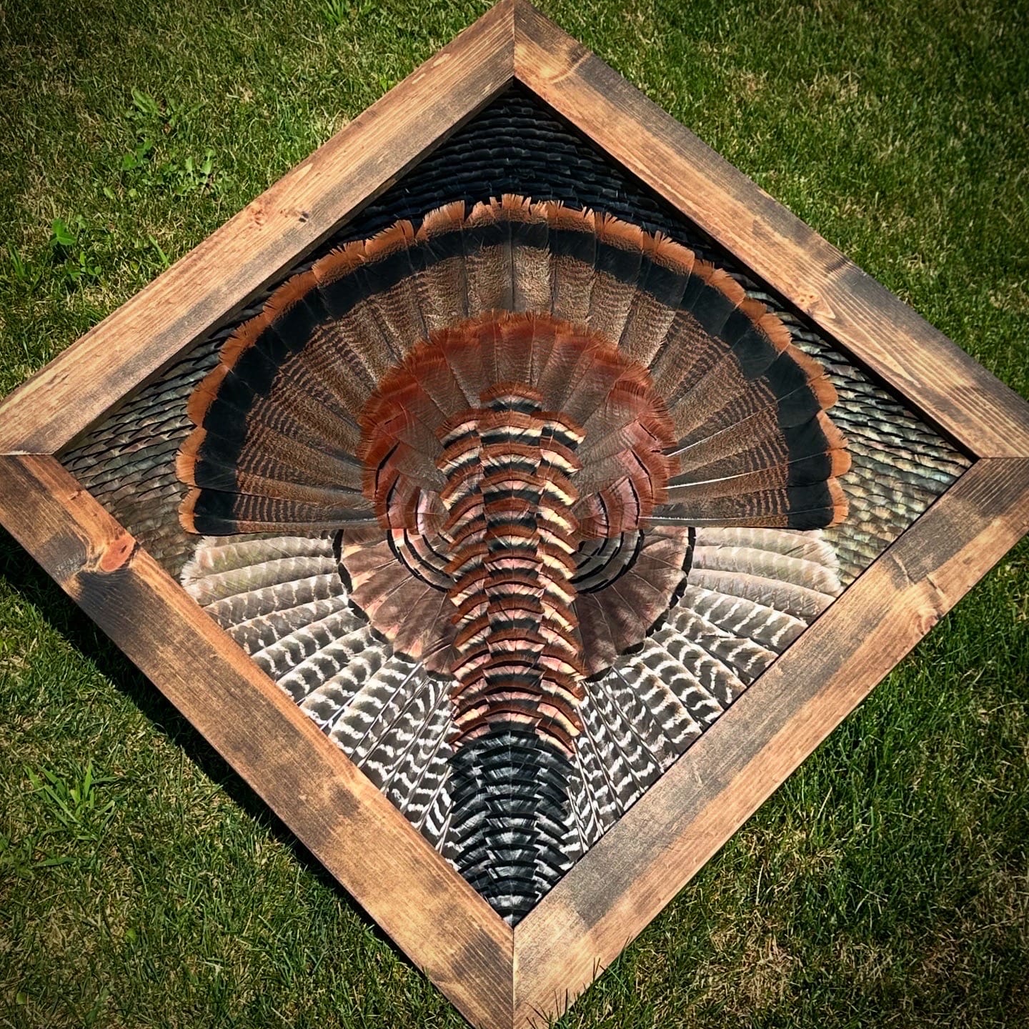 Diamond Turkey feather art piece — #16