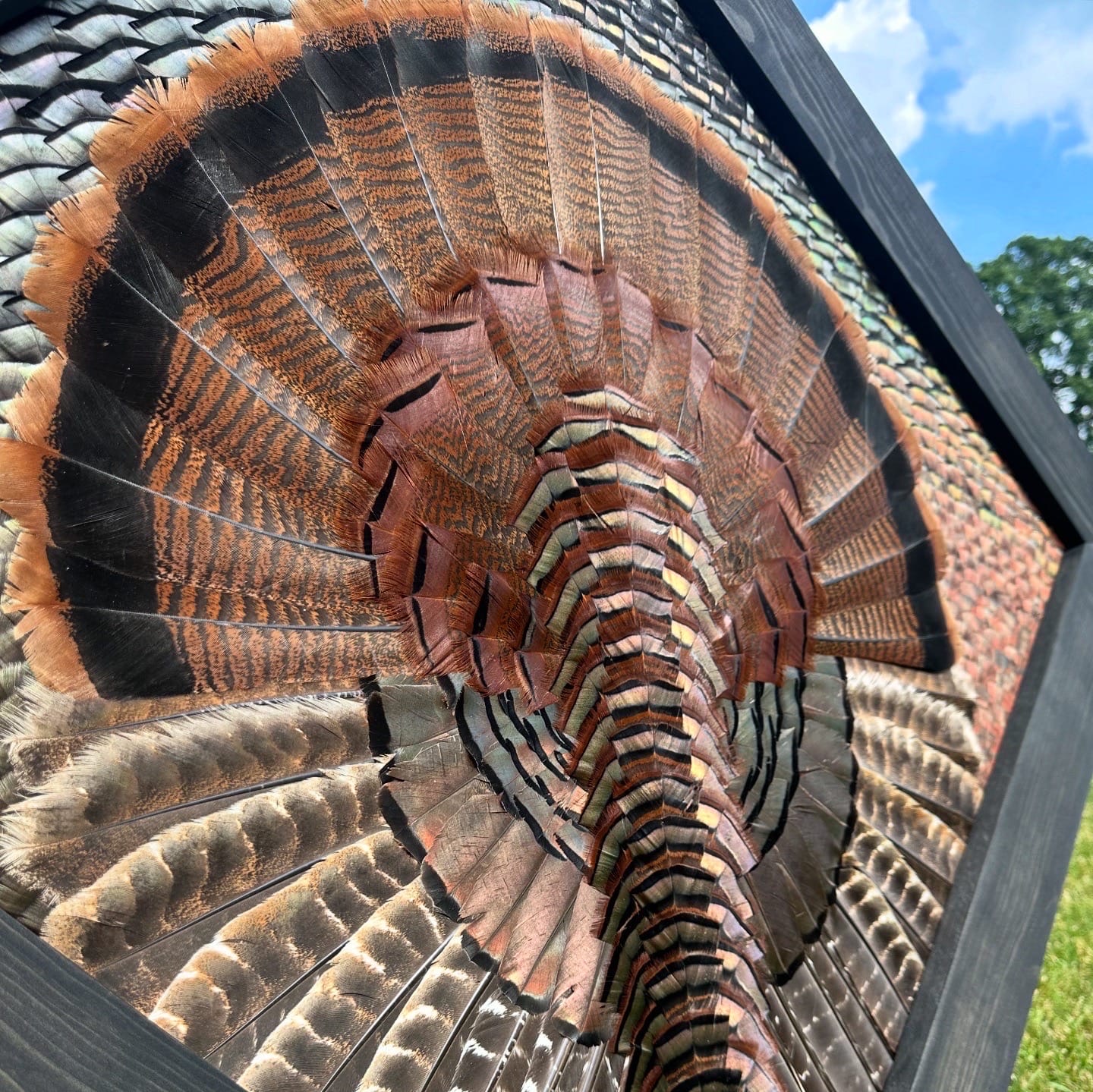 Diamond Turkey feather art piece — #18