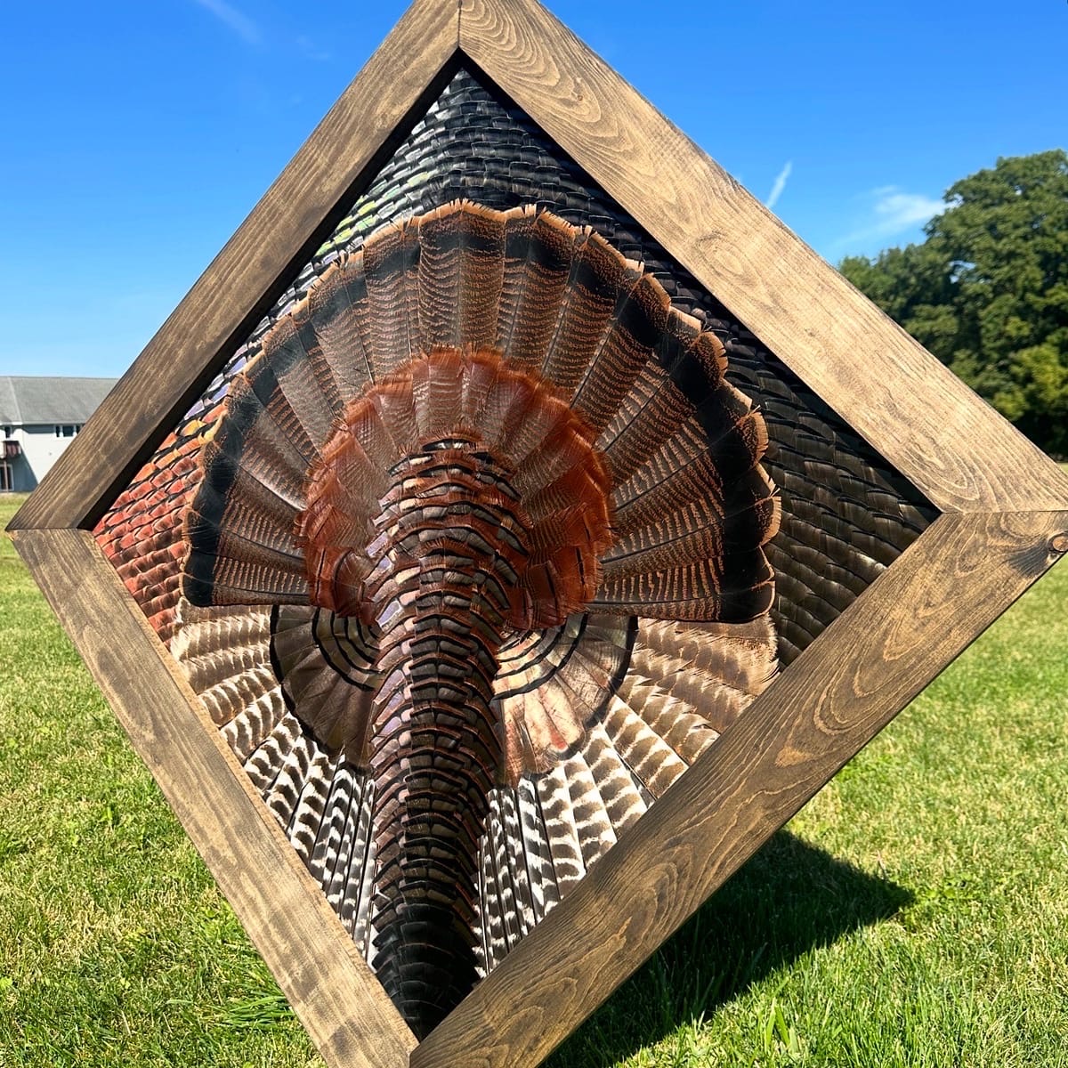 Diamond Turkey feather art piece — #19