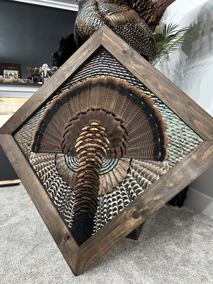 Diamond Turkey feather art piece — #20