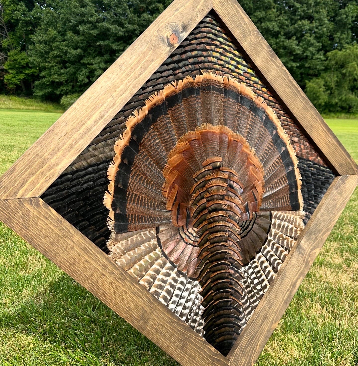 Diamond Turkey feather art piece — #23