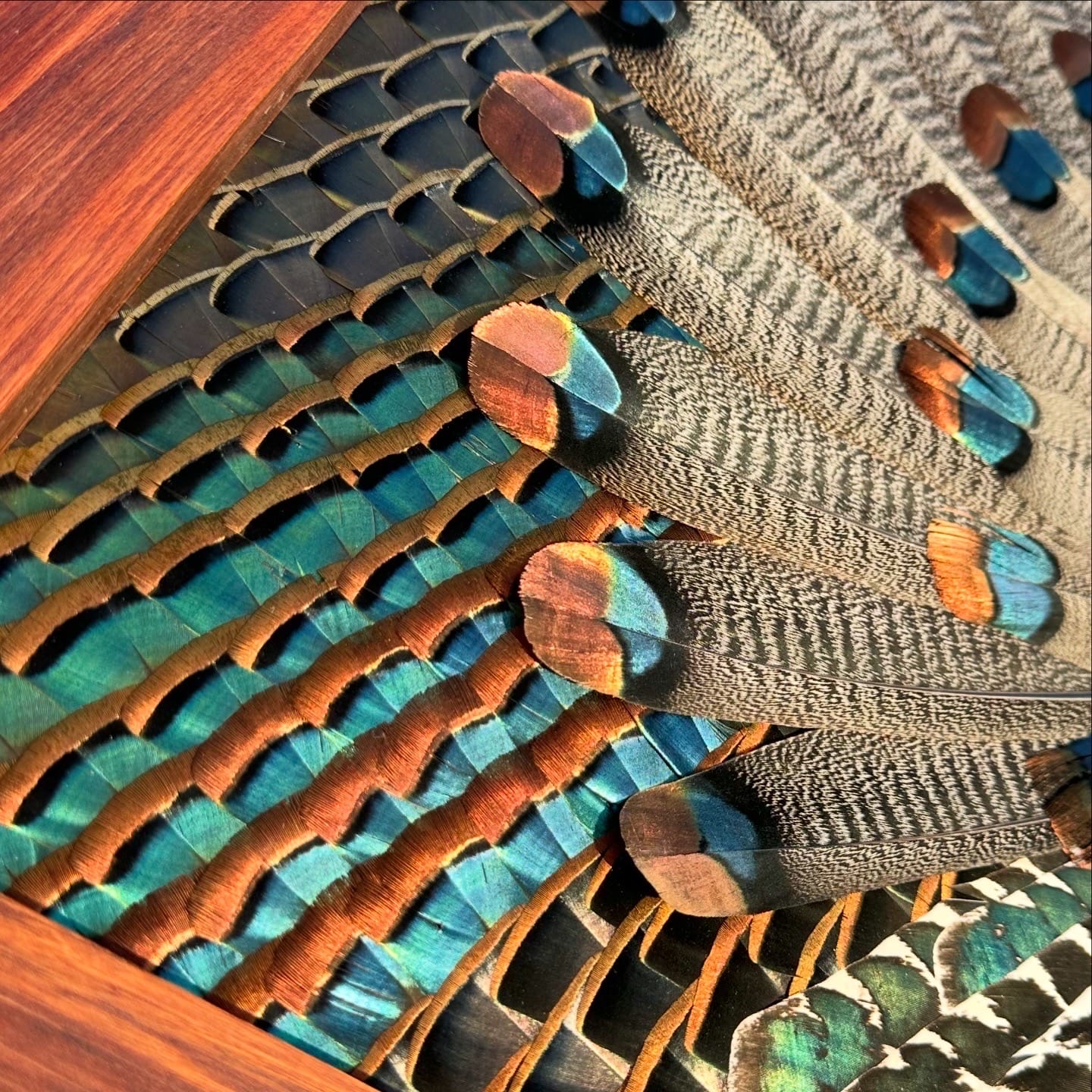 Diamond Turkey feather art piece — #24