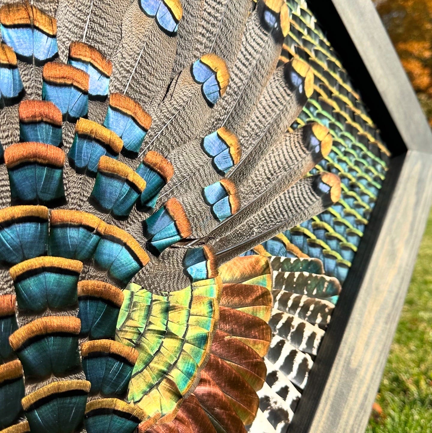 Diamond Turkey feather art piece — #25