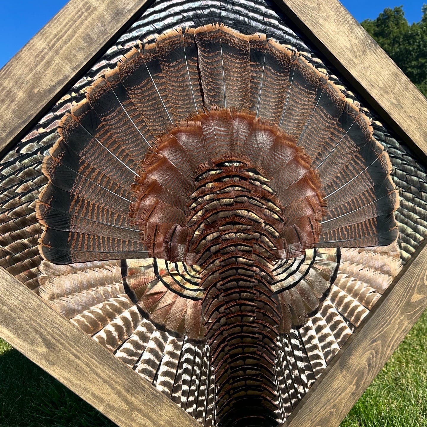 Diamond Turkey feather art piece — #27
