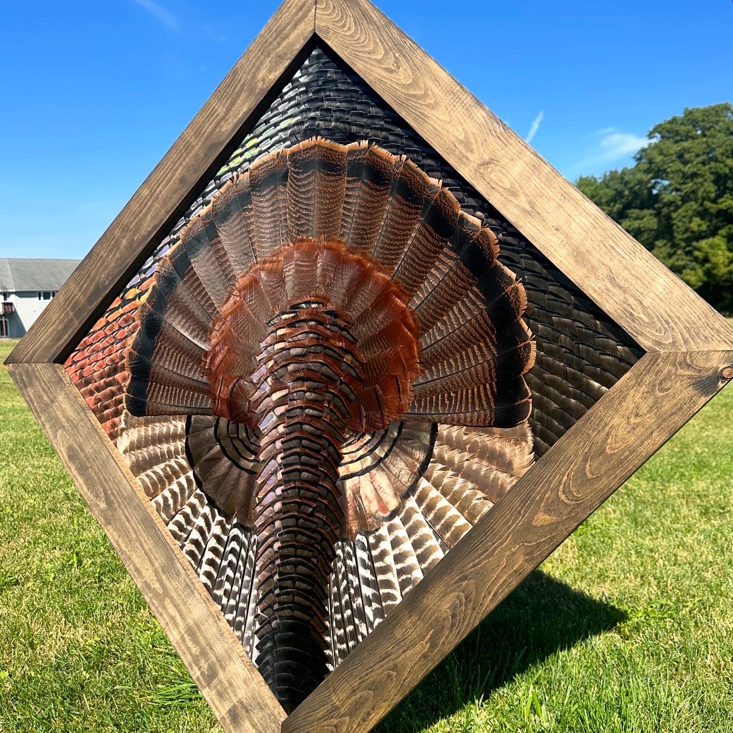 Diamond Turkey feather art piece — #28