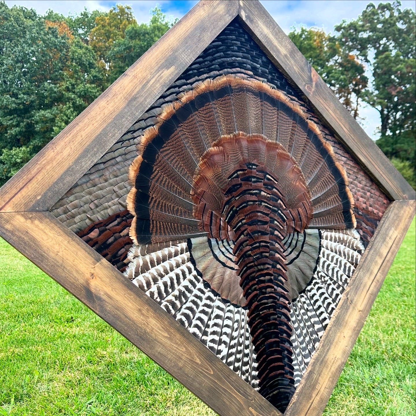 Diamond Turkey feather art piece — #29