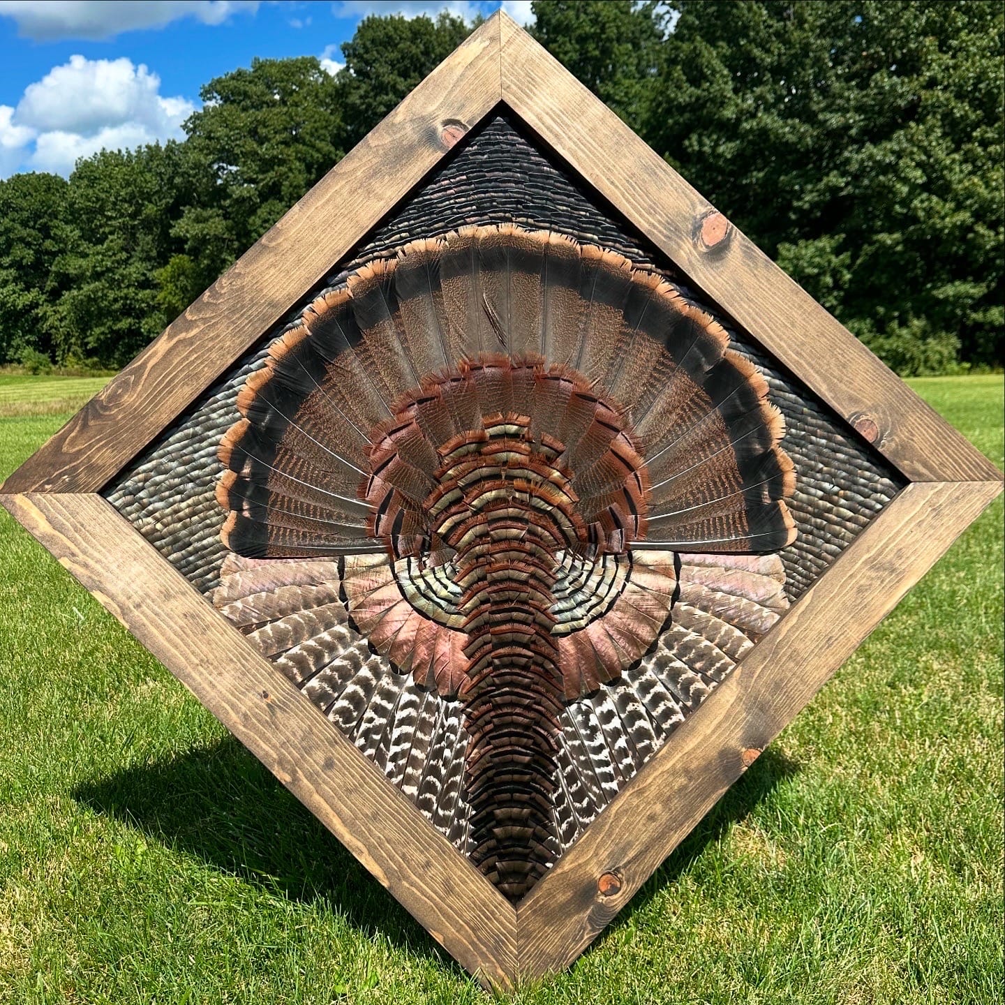 Diamond Turkey feather art piece — #30