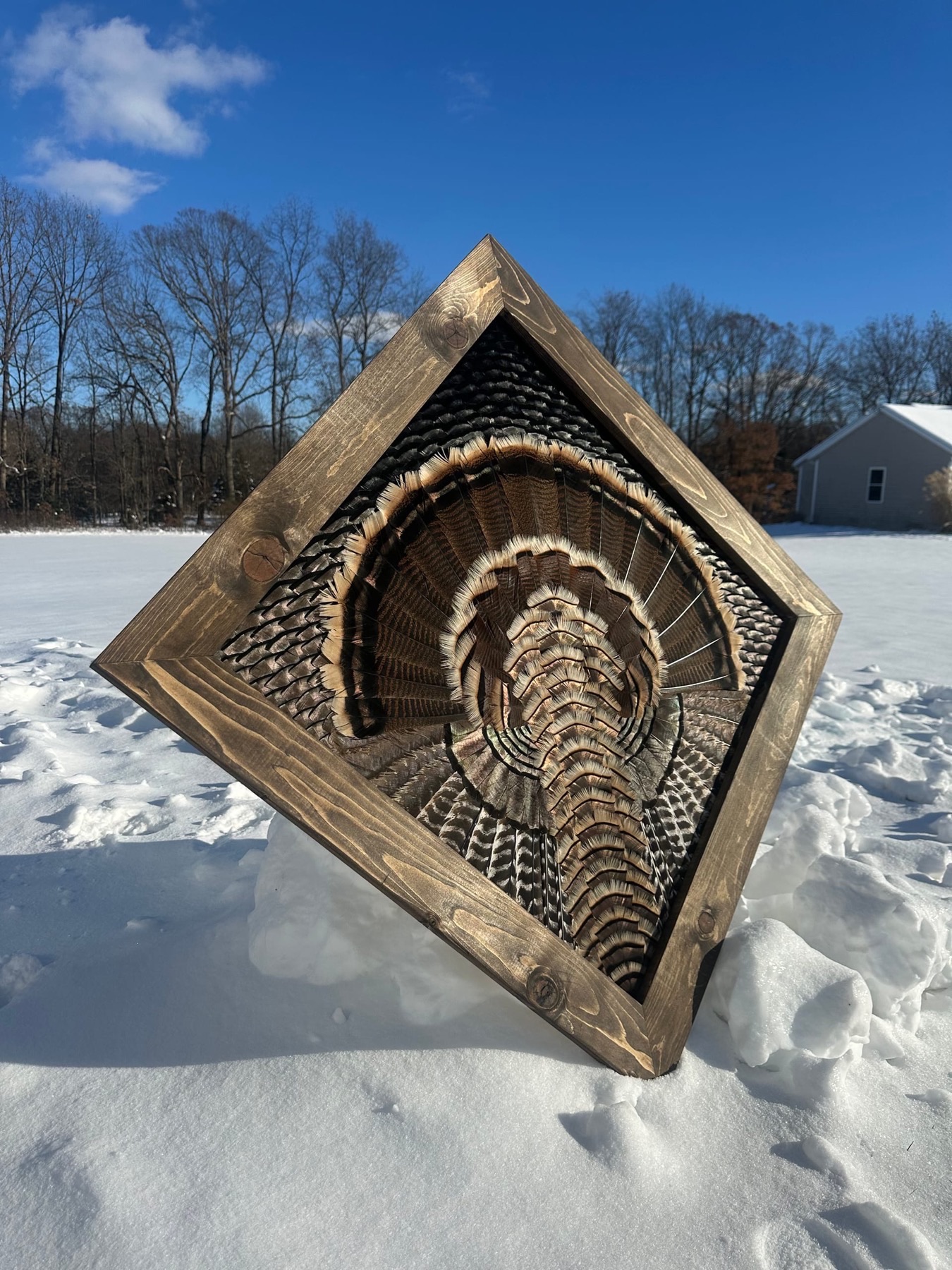 Diamond Turkey feather art piece — #35