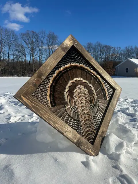 Diamond turkey feather art mount: wild turkey tail fan and wings framed in a handmade diamond frame by All Feathers Taxidermy