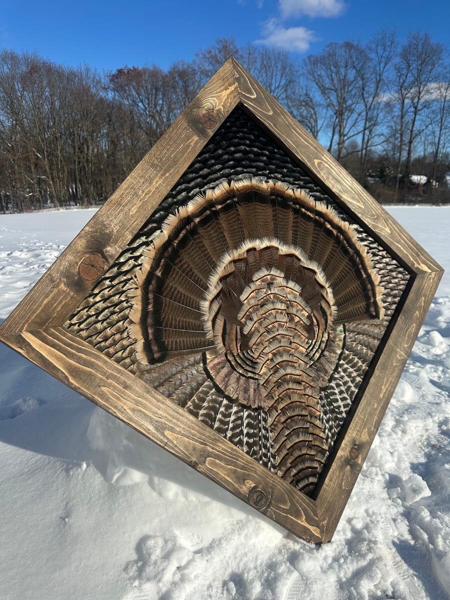 Diamond Turkey feather art piece — #43