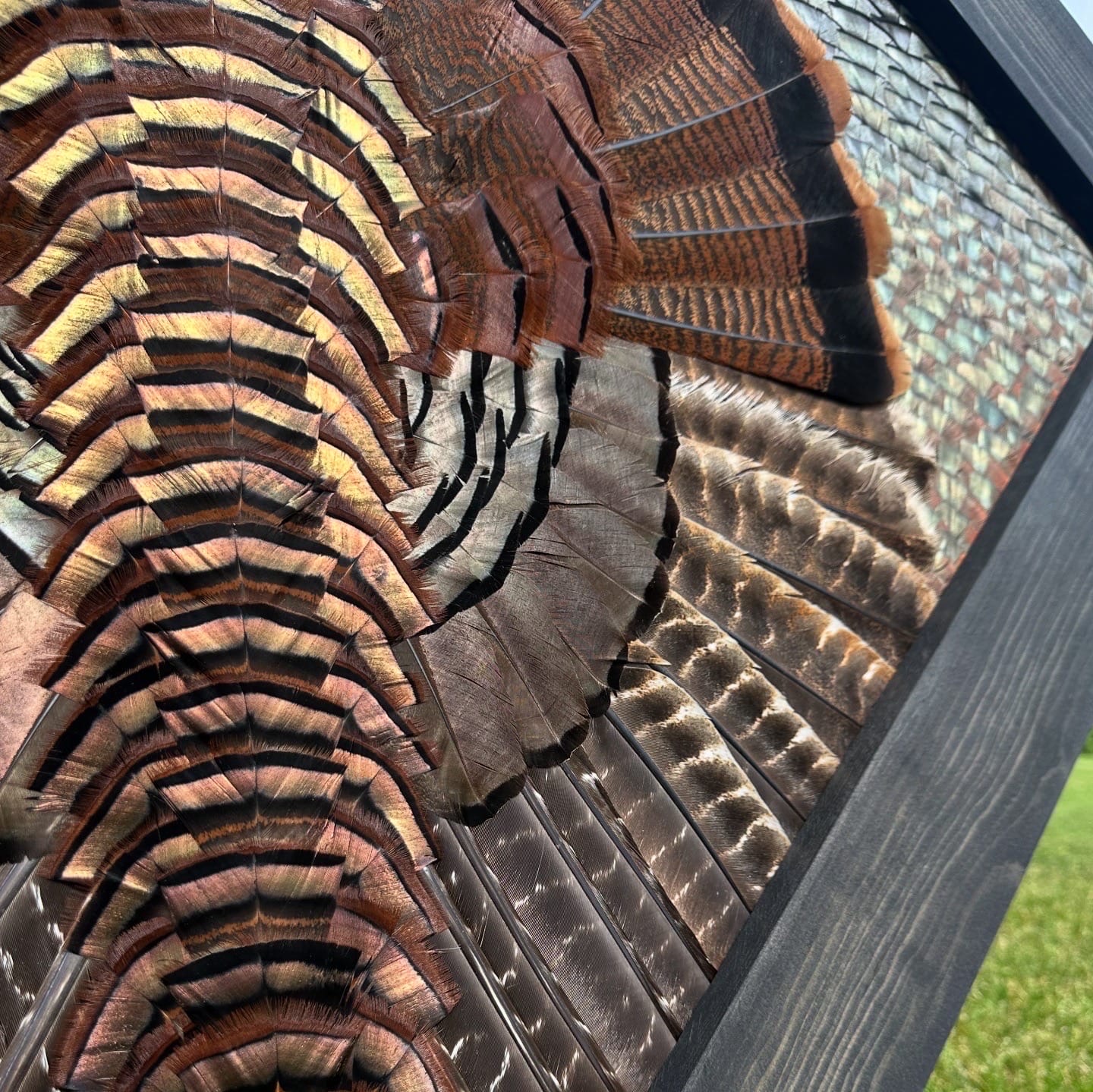 Diamond Turkey feather art piece — #6
