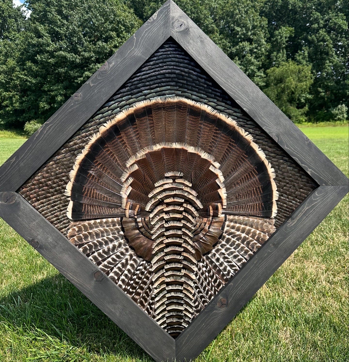 Diamond Turkey feather art piece — #8