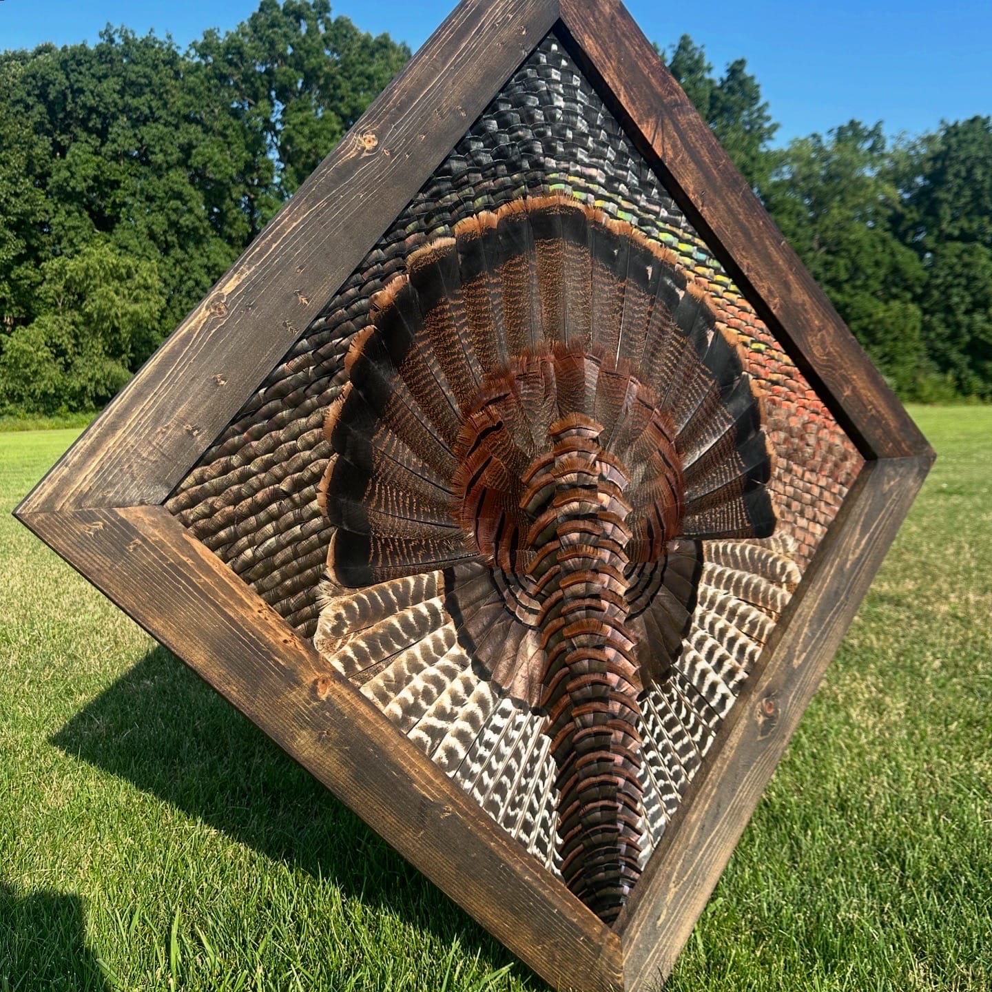 Diamond Turkey feather art piece — #9