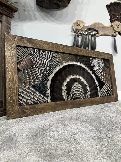 Double wing turkey feather art mount with both wings spread, handcrafted by All Feathers Taxidermy