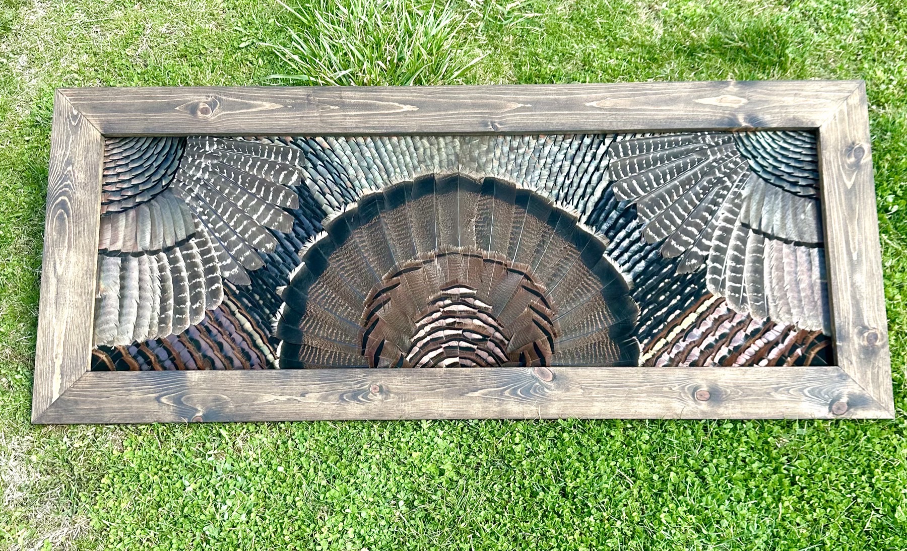 Double Wing Turkey feather art piece — #11