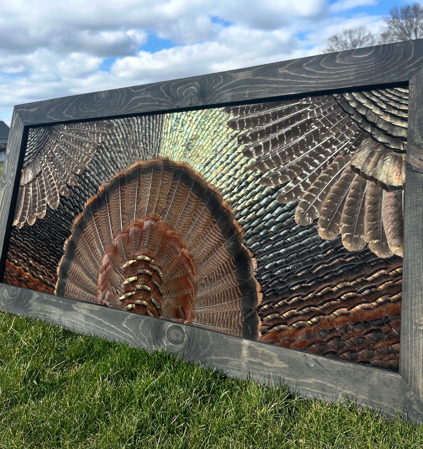 Double Wing Turkey feather art piece — #5