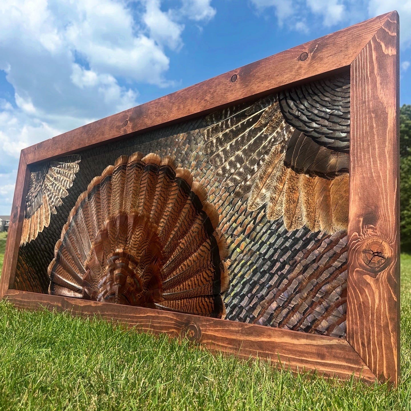 Double Wing Turkey feather art piece — #6