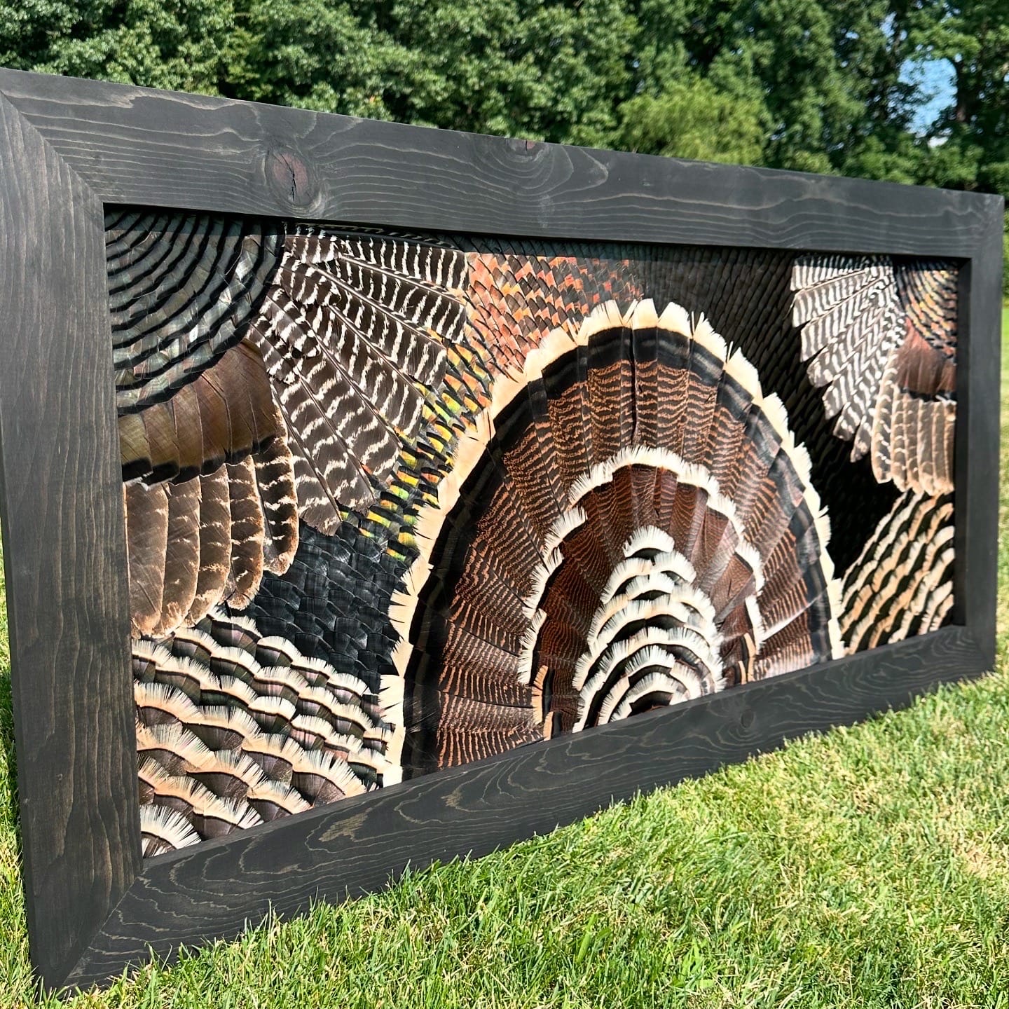 Double Wing Turkey feather art piece — #8