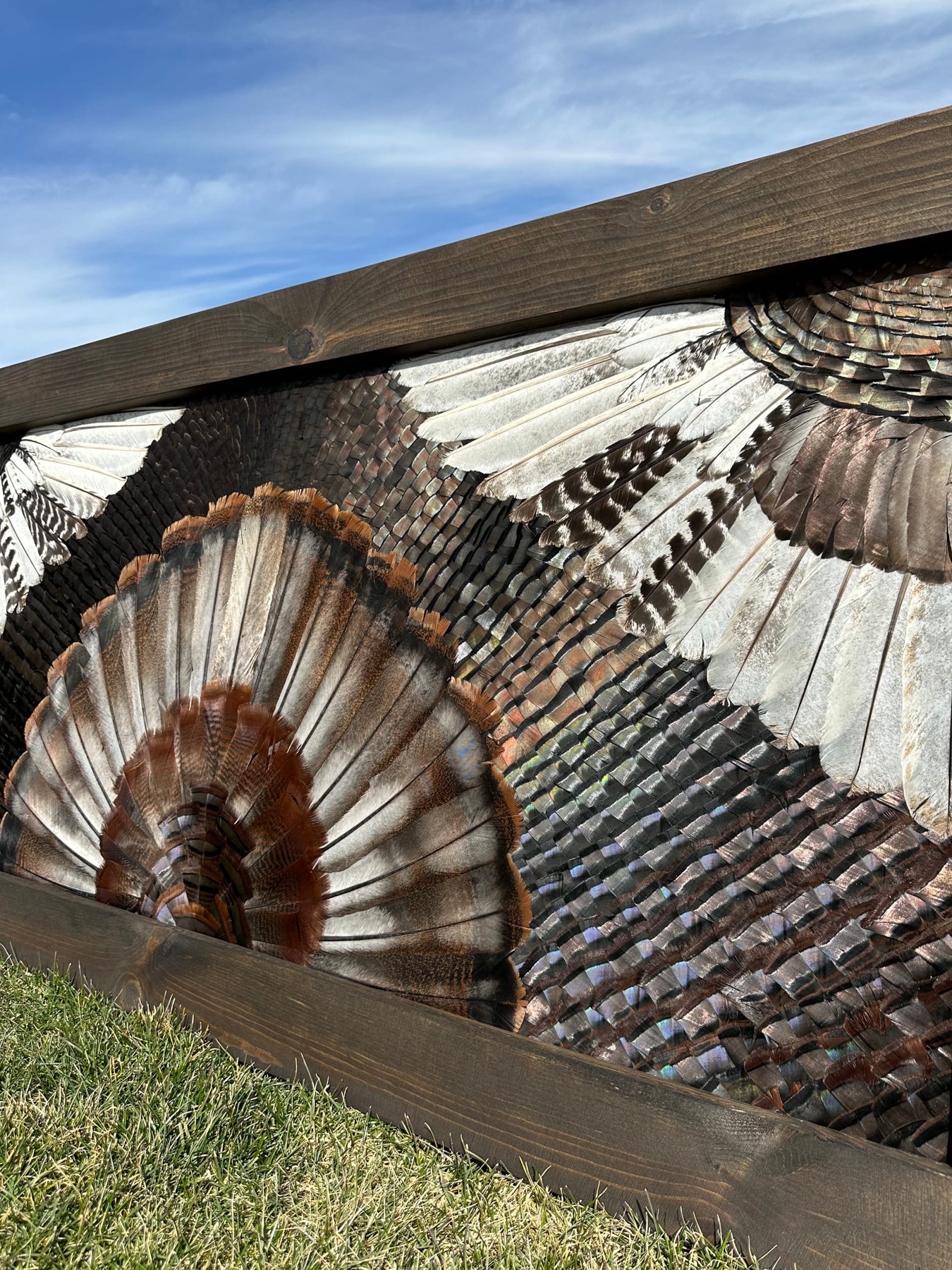 Double Wing Turkey feather art piece — #9