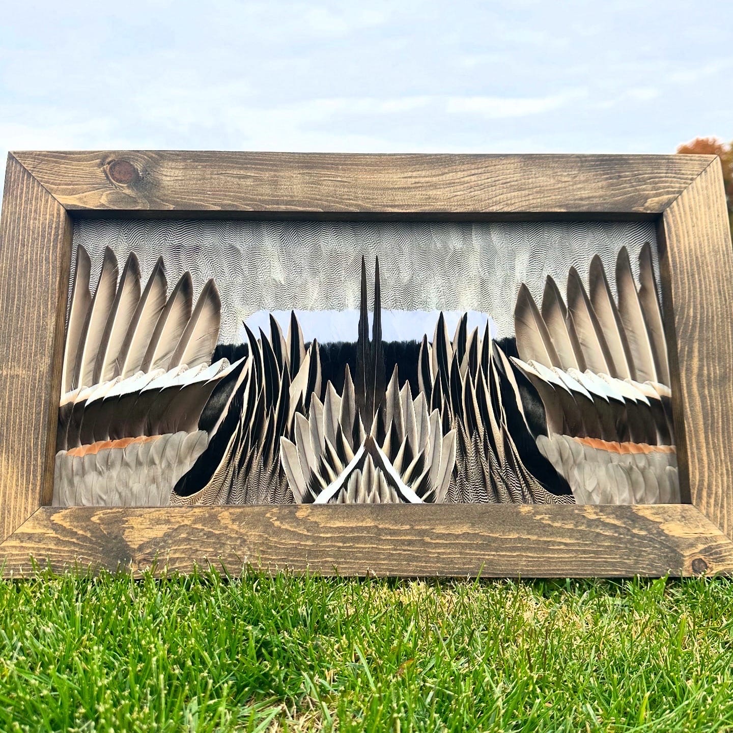 Ducks feather art piece — #1