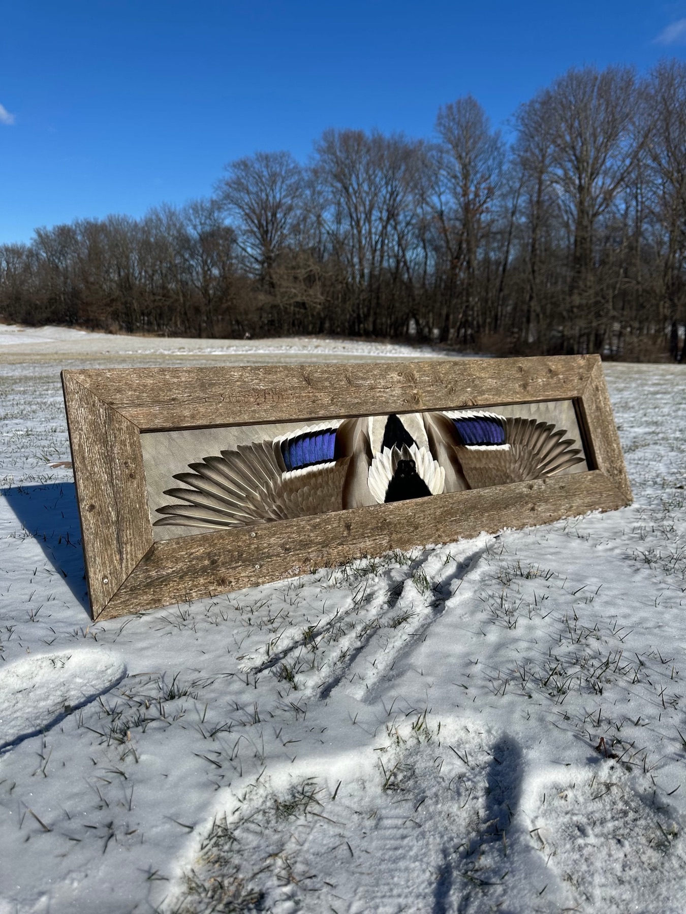 Ducks feather art piece — #10