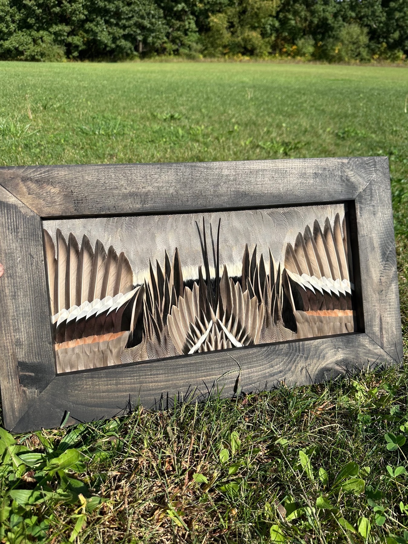 Ducks feather art piece — #11