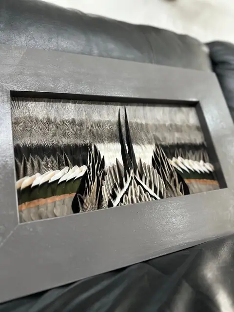Duck feather art mount, framed waterfowl wing and plumage by All Feathers Taxidermy