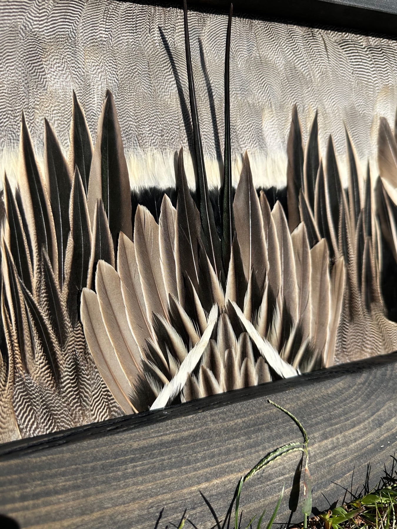 Ducks feather art piece — #13