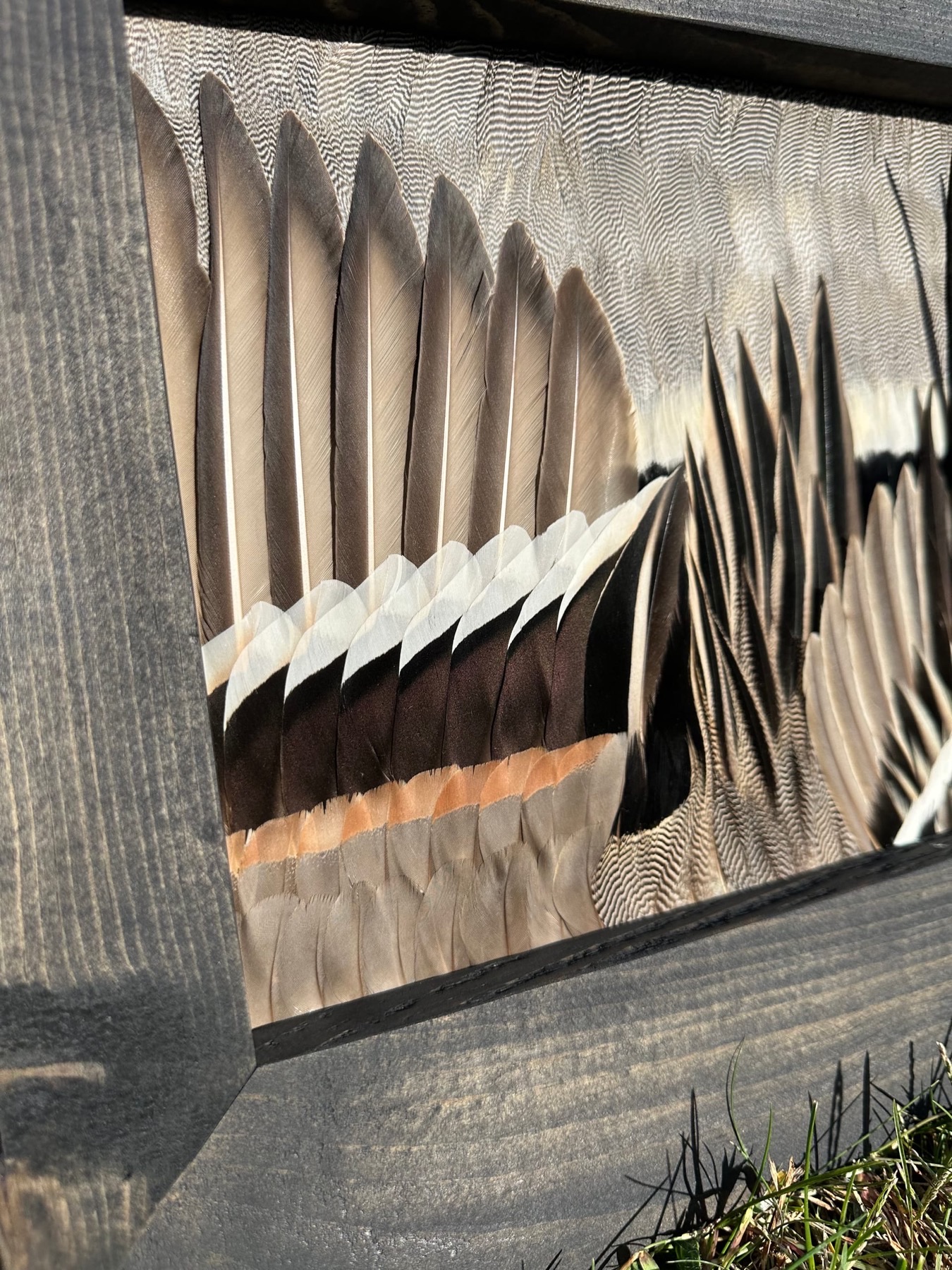Ducks feather art piece — #14