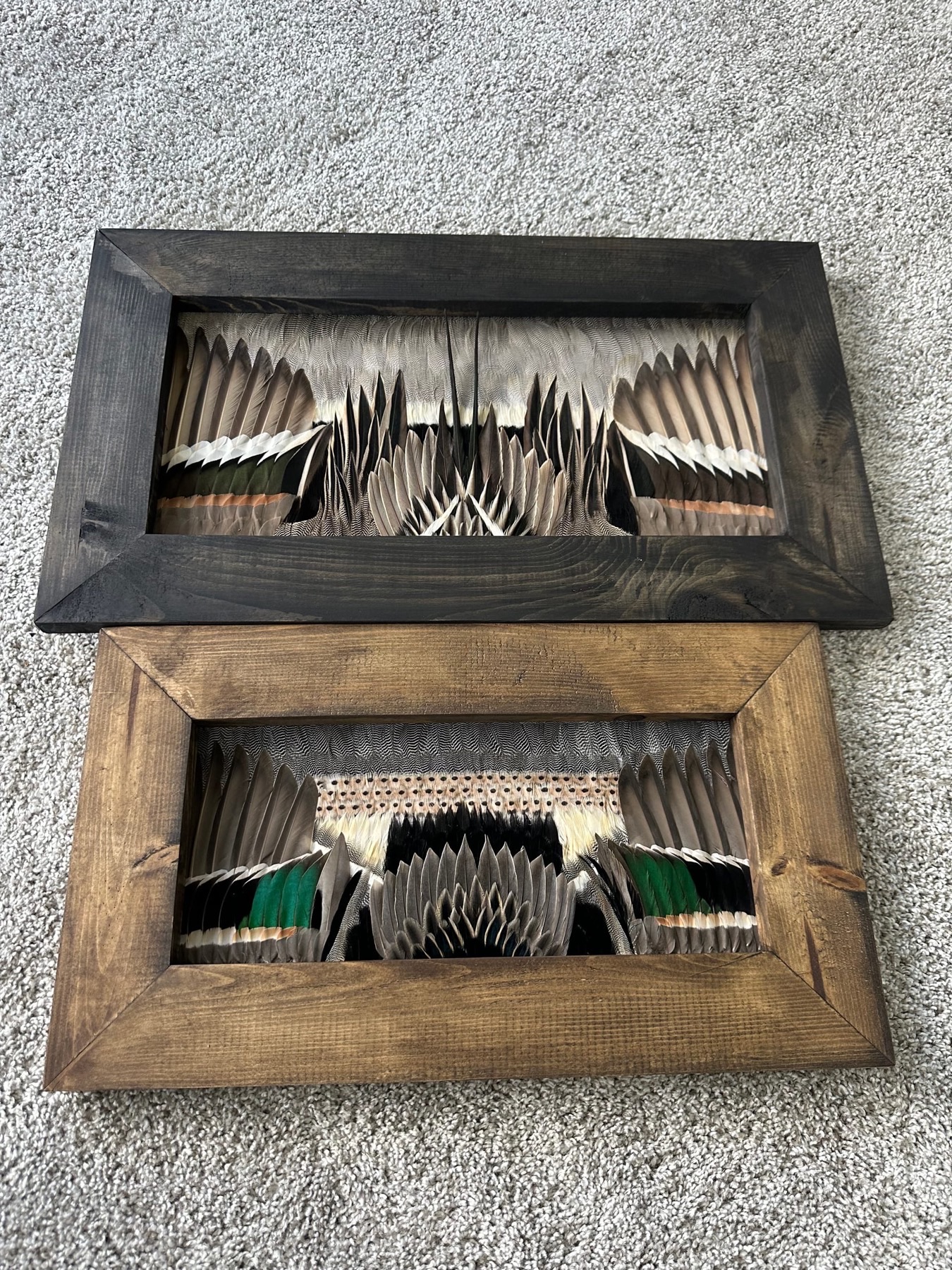 Ducks feather art piece — #15