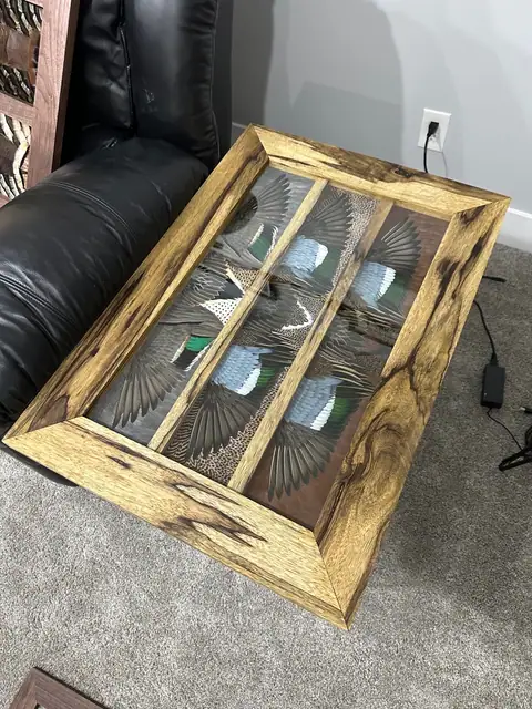 Duck feather art mount, framed waterfowl wing and plumage by All Feathers Taxidermy