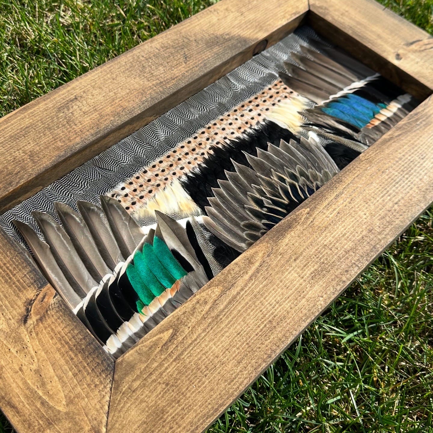 Ducks feather art piece — #2