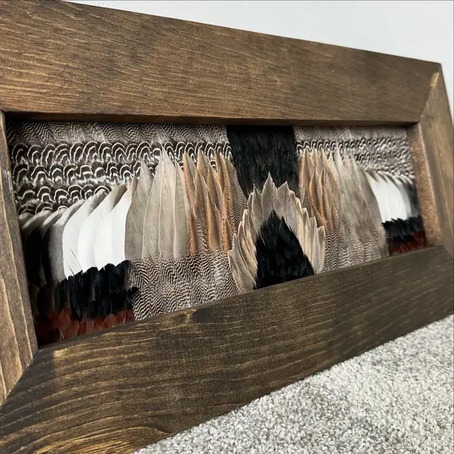Duck feather art mount, framed waterfowl wing and plumage by All Feathers Taxidermy