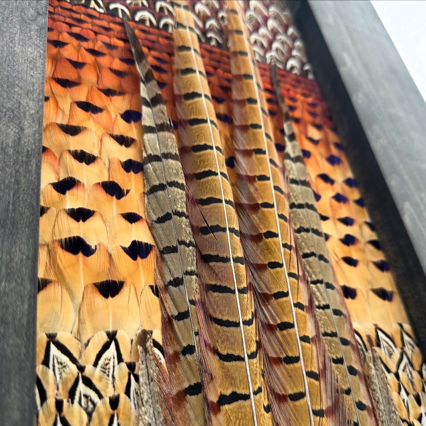 Pheasants feather art piece — #1