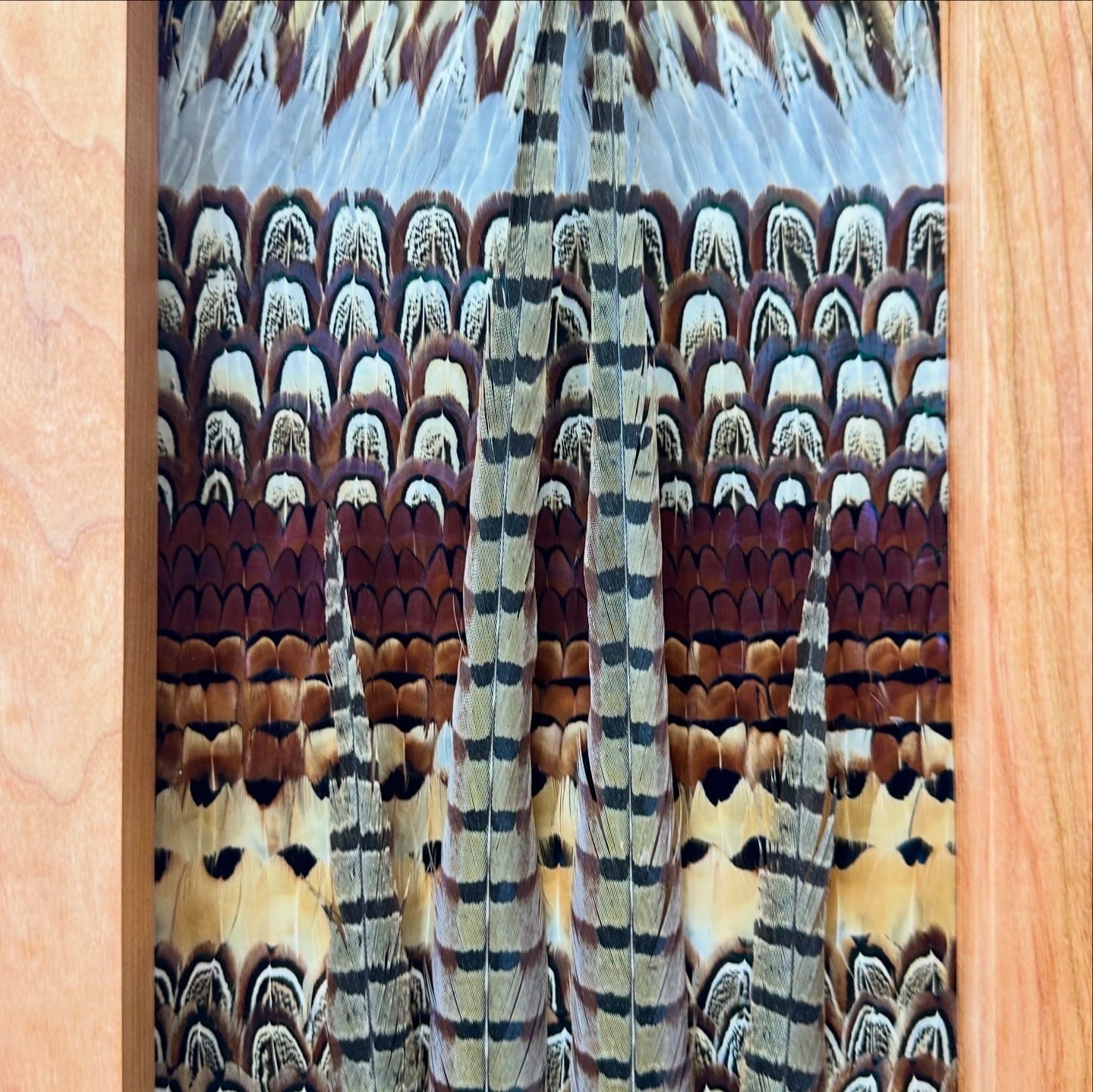 Pheasants feather art piece — #2
