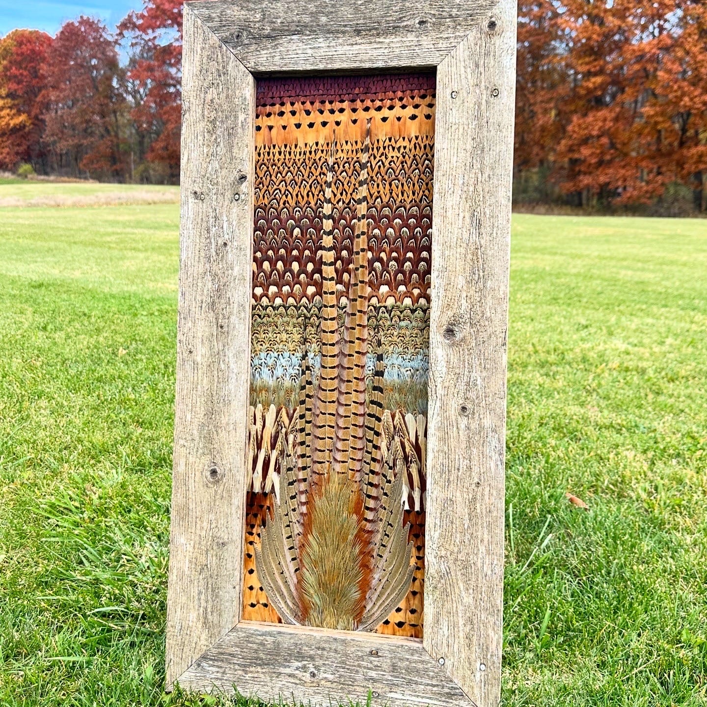 Pheasants feather art piece — #5