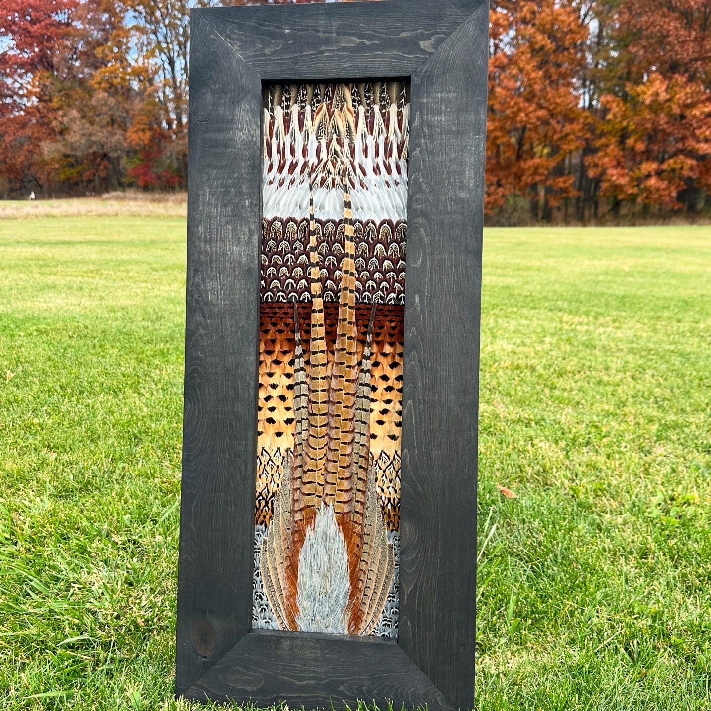 Pheasants feather art piece — #6