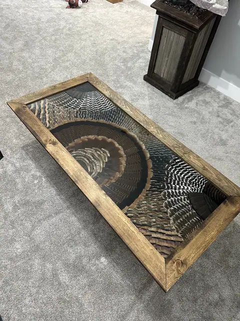 Custom turkey feather art table with feathers displayed under glass, built by All Feathers Taxidermy